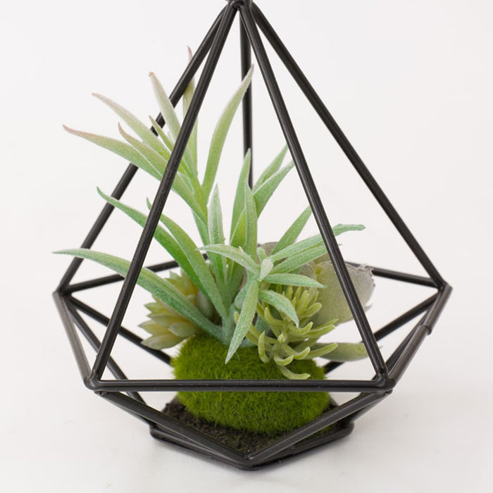 Succulent in Wire Stand HA324830MIX